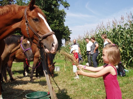 Sundhouse, fte folklorique en alsace